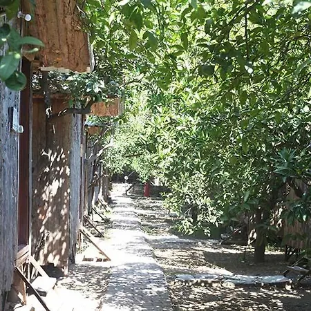 Bayrams Tree Hotel 2*