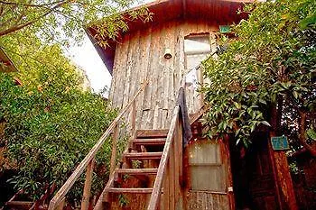Bayrams Tree 2* Olympos
